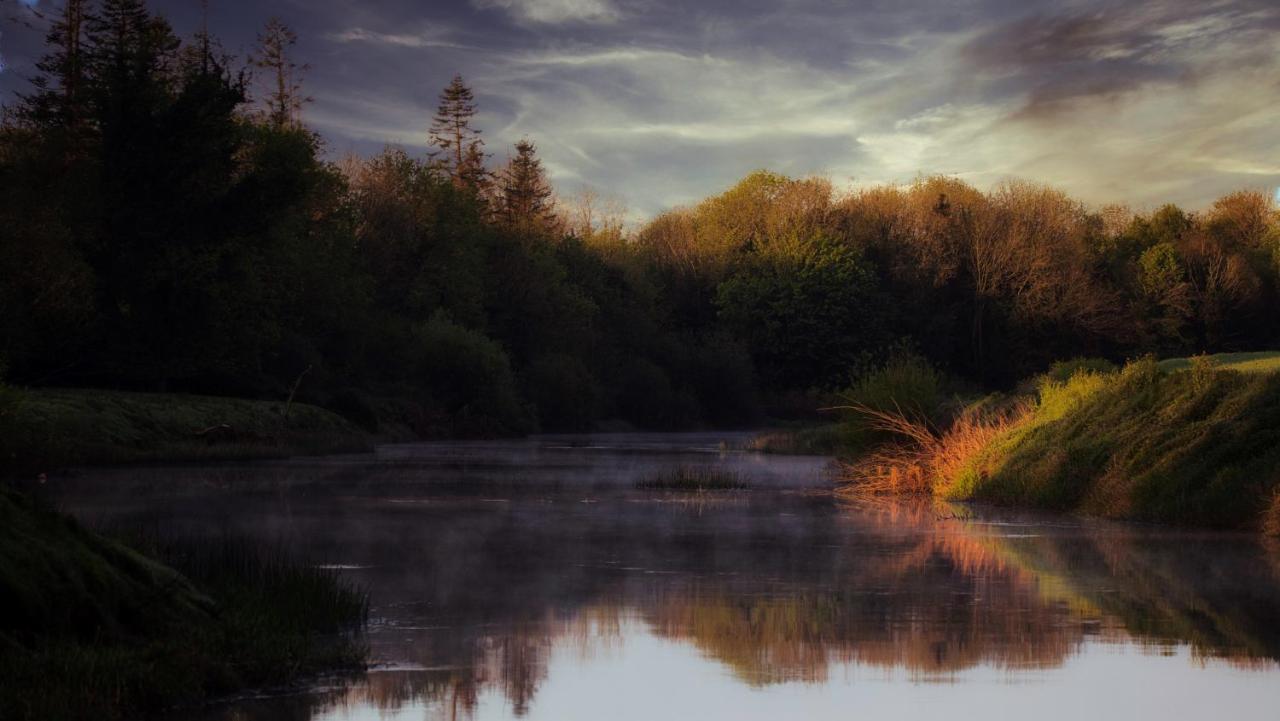 Stay Barrow Blueway - The Stables Monasterevin Luaran gambar